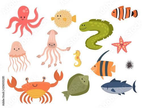 Sea animals vector creatures characters cartoon ocean wildlife marine underwater aquarium life water graphic aquatic tropical beasts illustration.