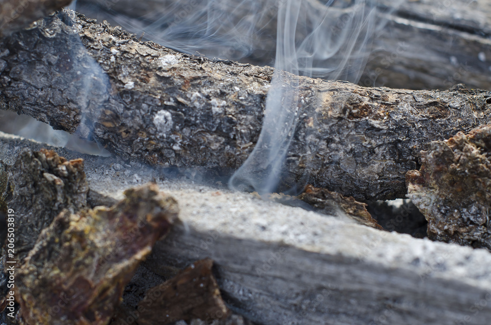 The fire pit starting to smoke and beginning to take flame and burn. 