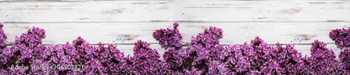 Flowers of lilac.White old background with space for text.Purple color.
