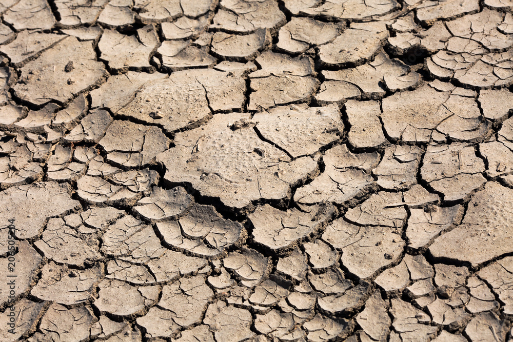 Extremelly dry cracked soil background texture. Climate change and drought concept Extremelly dry cracked soil background texture. Climate change and drought concept