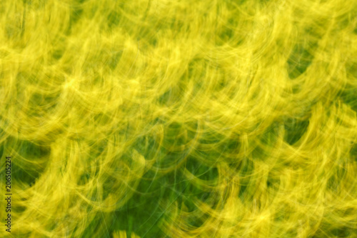 Beautiful natural yellow and green abstract background of rapeseed blossom. Camera motion blur technique in daylight