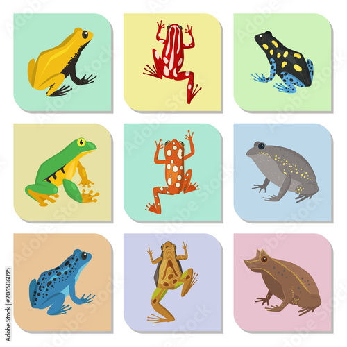 Frog vector cartoon tropical wildlife animal green froggy nature funny illust...