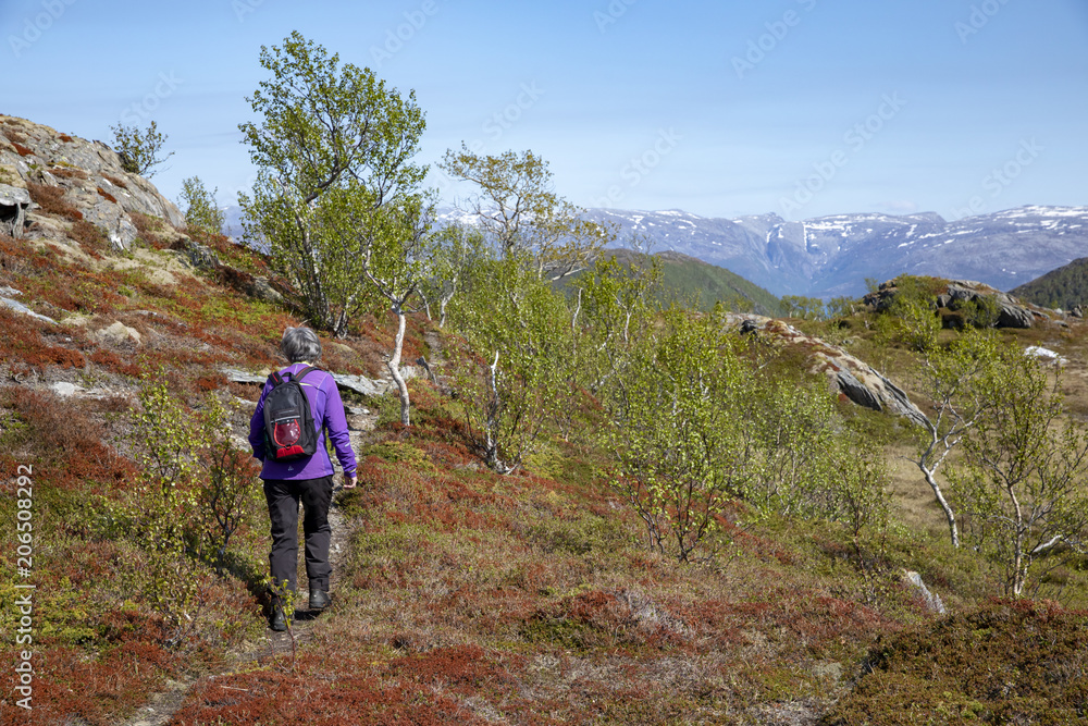 On a trip to the mountain Kauarpallen in great weather Bronnoy county Northern Norway