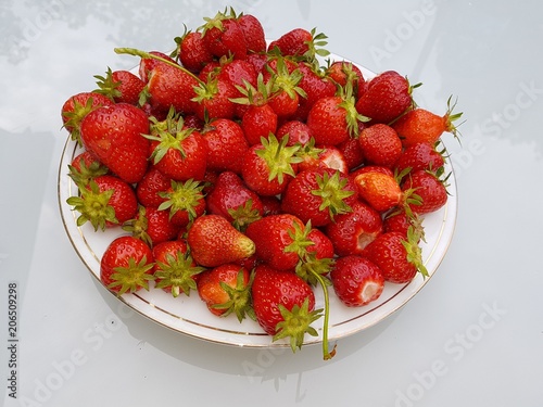 Fraises photo