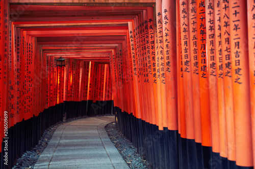 Torii Gates of Fushimi Inari-taisha in Kyoto, Japan