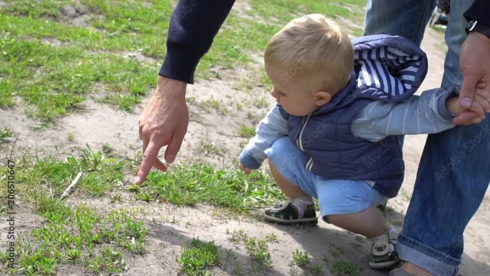 Father shows his son an ant in a park Sunny day Father shows his son an ant in a park Sunny day