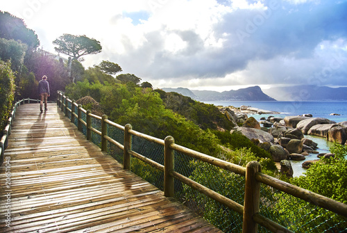 Penguins in boulder's beach cape-town south-africa with seaside and moutain view