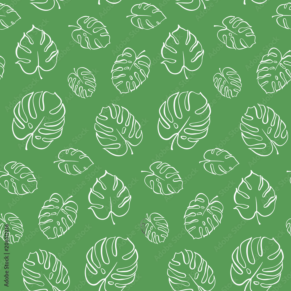 Vector botanical illustration of monstera leaf Vector botanical illustration of monstera leaf