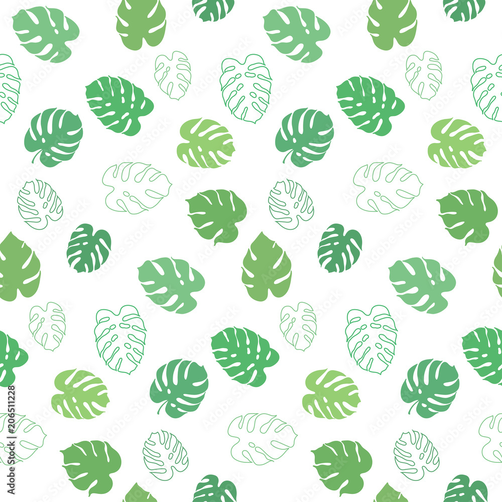Vector botanical illustration of monstera leaf Vector botanical illustration of monstera leaf