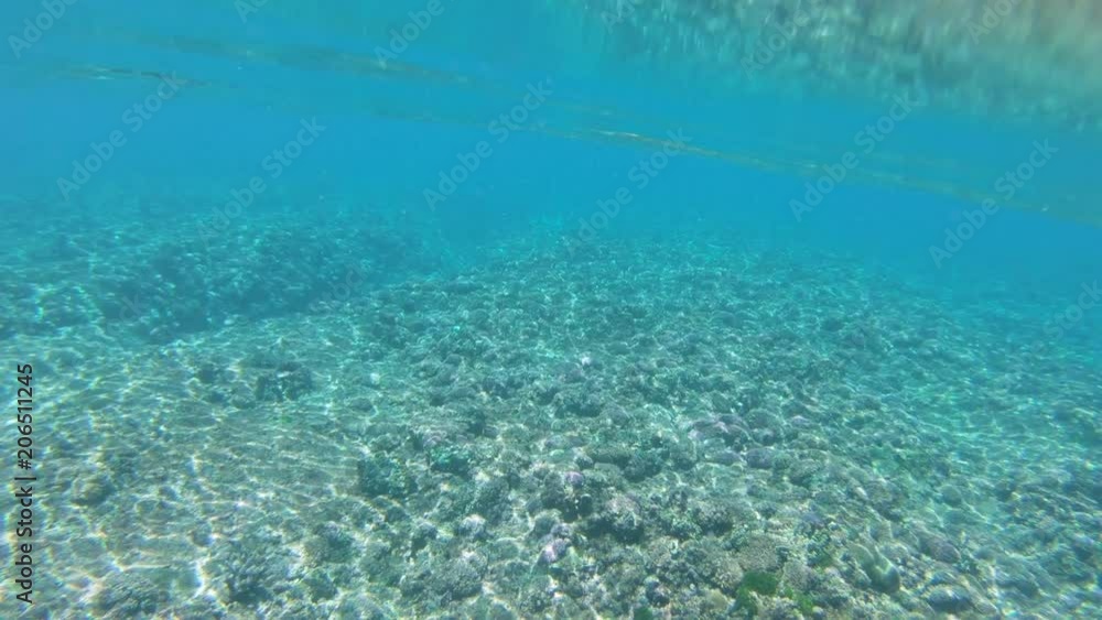 SLOW MOTION, UNDERWATER: Spectacular shot of bright sunlight shining through the emerald ocean down on empty coral seabed. Amazing natural beauty of the tranquil depths of the turquoise Pacific Ocean. SLOW MOTION, UNDERWATER: Spectacular shot of bright sunlight shining through the emerald ocean down on empty coral seabed. Amazing natural beauty of the tranquil depths of the turquoise Pacific Ocean.