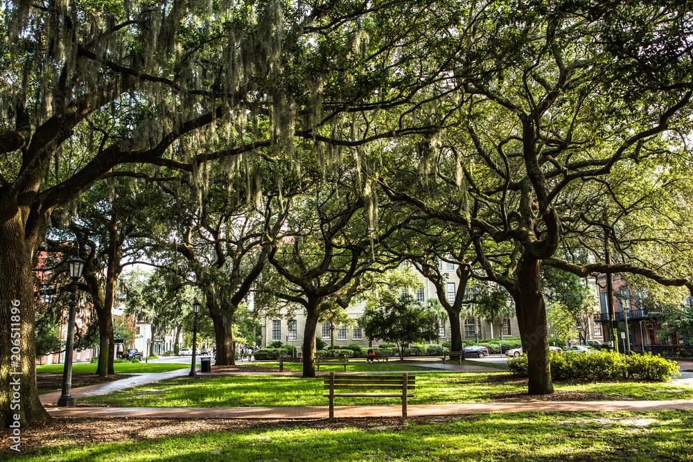 Savannah Square Town