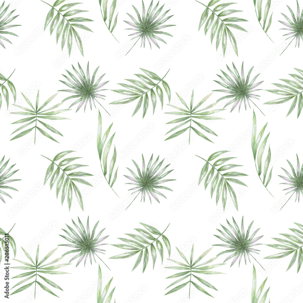 Tropical seamlless pattern with exotic palm leaves. Seamlless pattern tropic leafs on white background
