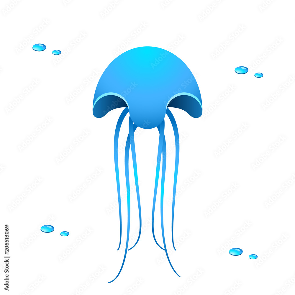 Fototapeta premium Meeresqualle - blue jellyfish