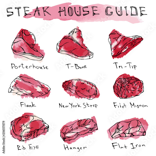 Watercolour Popular Steak Types Set. Beef Cuts. Meat Guide for Butcher Shop or Steak House Restaurant Menu. Hand Drawn Illustration. Savoyar Doodle Style. Porterhouse, T-bone, New York Strip, Rib Eye.