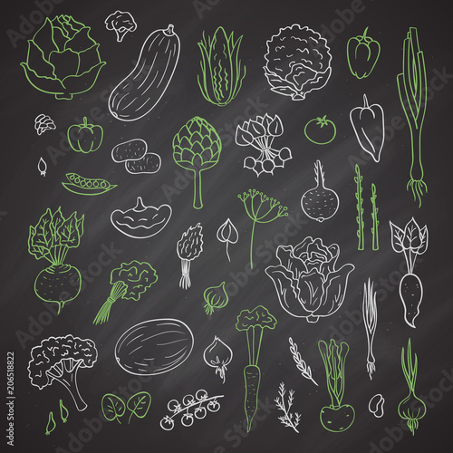 Vector colored hand drawn doodle vegetables icons set on black chalkboard illustration. Isolated greenery elements on white background.