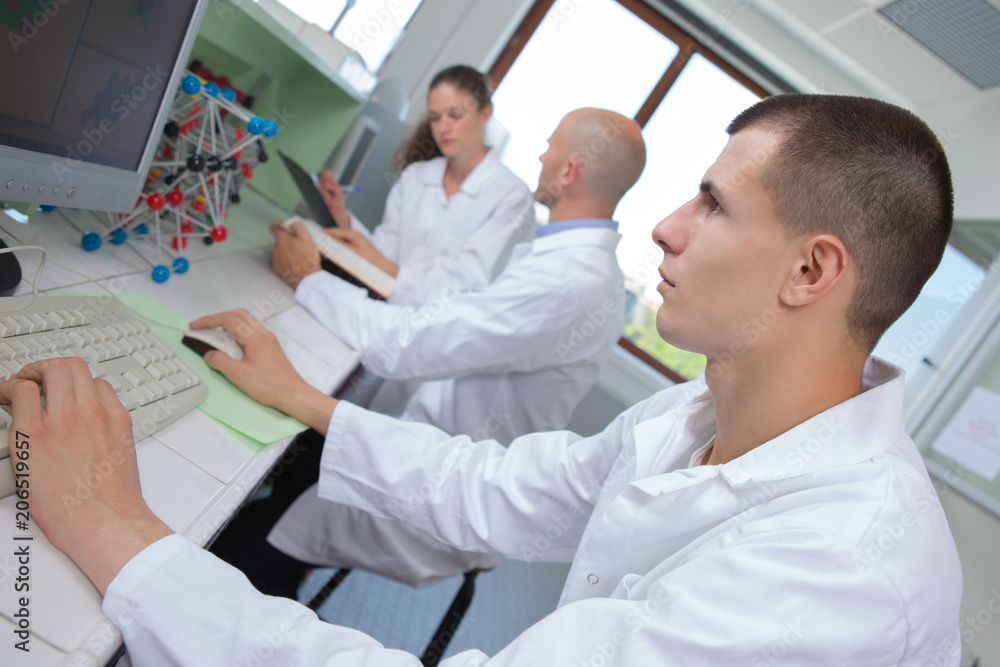 young medical technicians working in laboratory young medical technicians working in laboratory