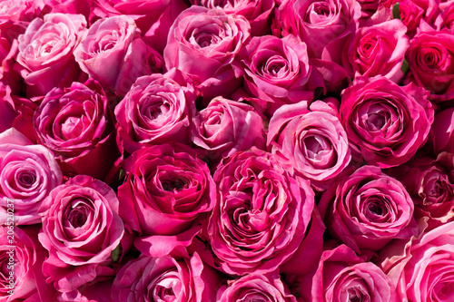 Stacked pink roses in bouquet