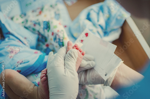 doctor takes a blood test in newborns photo