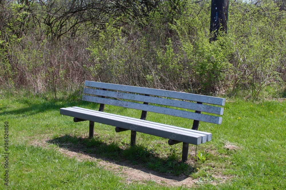 The metal park bench in the park on a sunny day.