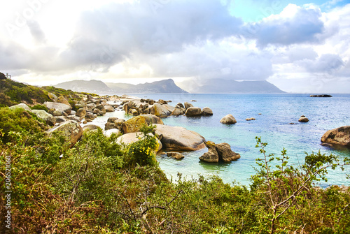Penguins in boulder's beach cape-town south-africa with seaside and moutain view