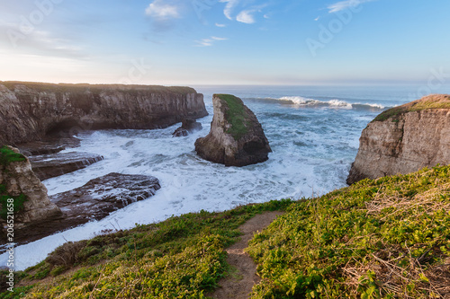 Shark Fin Rock California Coast Green