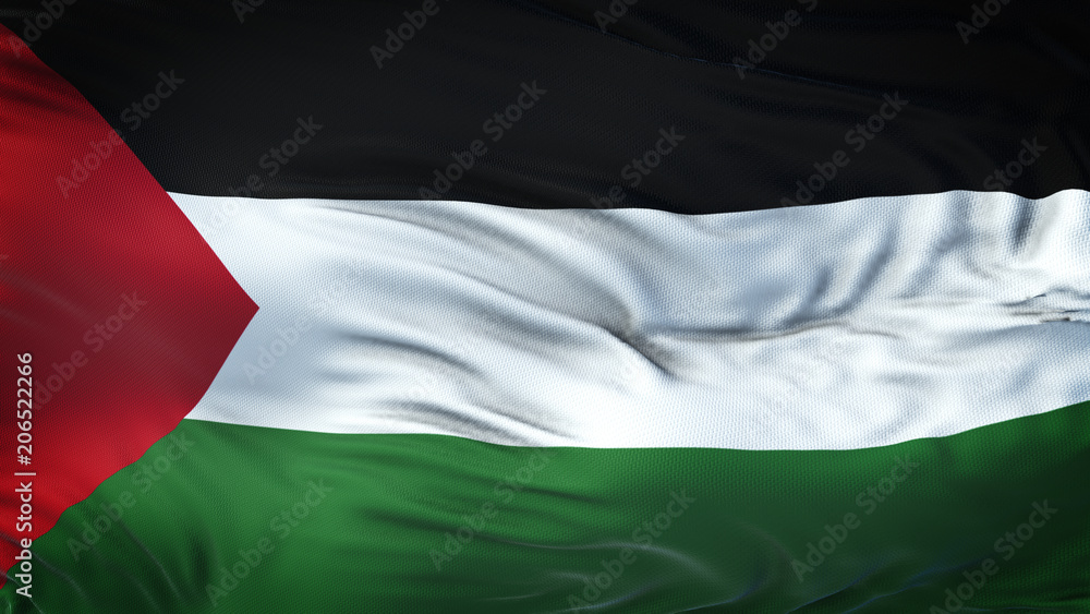 PALESTINE Realistic Waving Flag Background