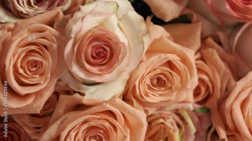 Dolly: Extra large bouquet of pink roses Dolly: Extra large bouquet of pink roses