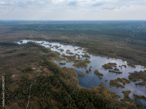 drone image. aerial view of swamp lake © Martins Vanags