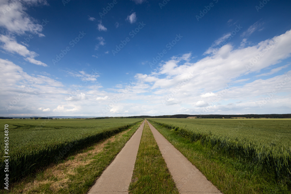 Betonierter Feldweg führt durch das Getreidefeld mit blauen Himmel und Wolken