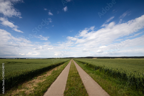 Betonierter Feldweg f  hrt durch das Getreidefeld mit blauen Himmel und Wolken