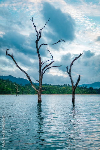 Tropical rain forest and mountains in the background and lake with trees coming out of water in the foreground at Ratchaprapha Dam at Khao Sok National Park, Surat Thani Province, Thailand