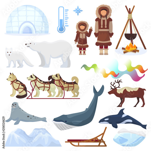 Arctic vector northern borealis norway and husky dog sledding sledge to yurta in snowy winter illustration polaris set of north ethnic characters animals and polar bear isolated on white background