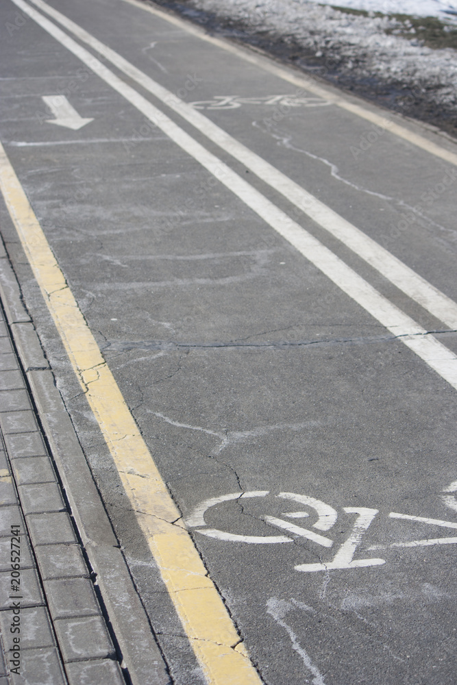 Fototapeta premium bike pattern and direction of travel