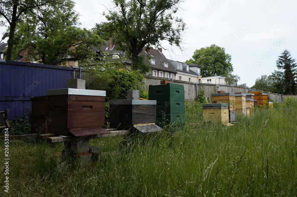 Urbanes Imkerei, Stadtbienen, verschiedene Bienenstöcke