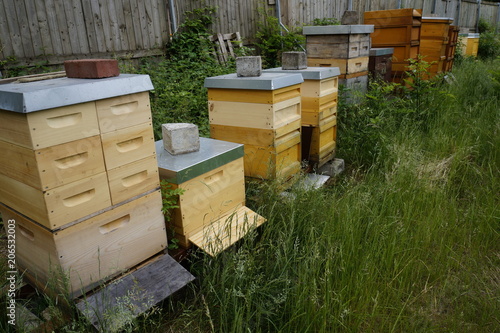  verschiedene Bienenstöcke  © olle kima