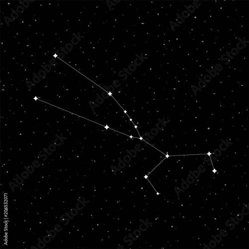 Taurus constellation