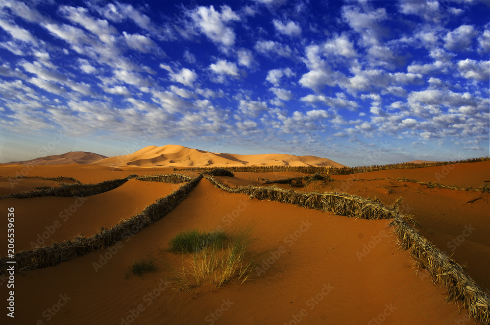 Sand dunes Sahara