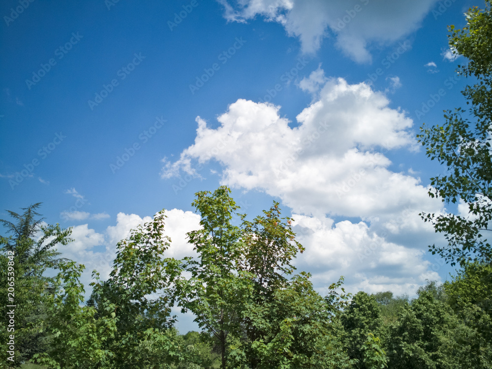 Sky Sky