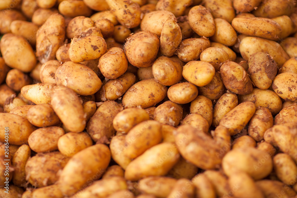 fresh potatoes at the weekly market fresh potatoes at the weekly market