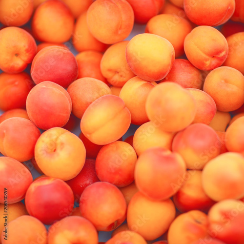 fresh bright yellow plums  mirabelles  in the weekly market  can be used as background