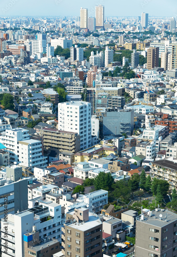 Fototapeta premium 東京の風景