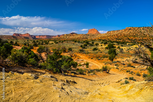 I captured this image on the road to The Maze Overlook from the Golden Stairs area in the Canyonlands National Park in Utah.