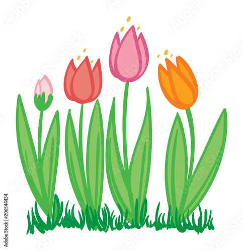 4 Tulips