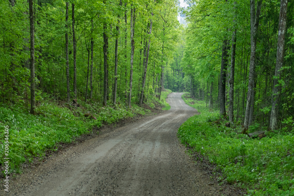 Arcol Road Arcol Road