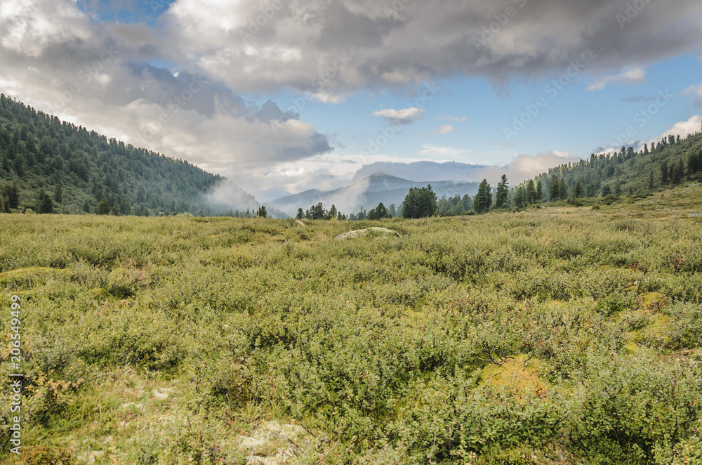 Fototapeta premium A foggy landscape, a view of the cliffs, the forest, Ergaki mountains