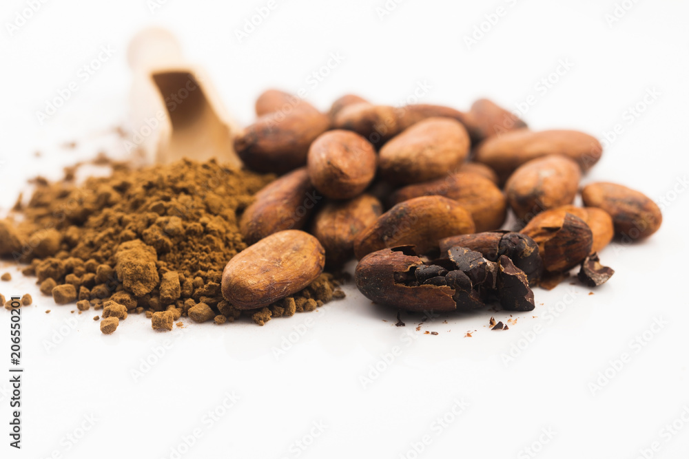Obraz premium cacao beans and cacao powder in spoon