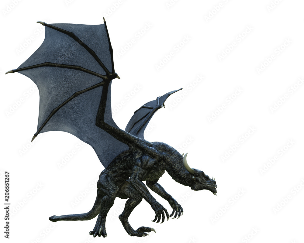 Fototapeta premium czarny smok na białym tle