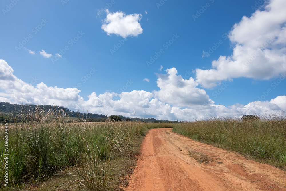 Dirt road in country
