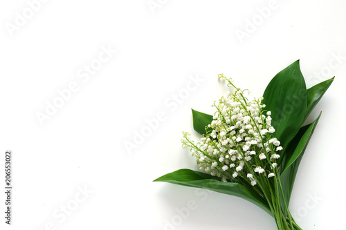 Bouquet of lily of the valleys  isolated on white background  view from above.