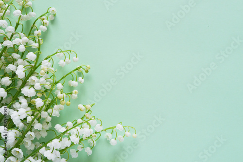 Romantic gentle flower background, lily of the valley on a mint color  background, top view, flat layout. 